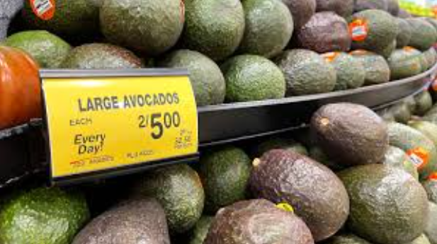 Understanding Avocado Prices: What You Need to Know